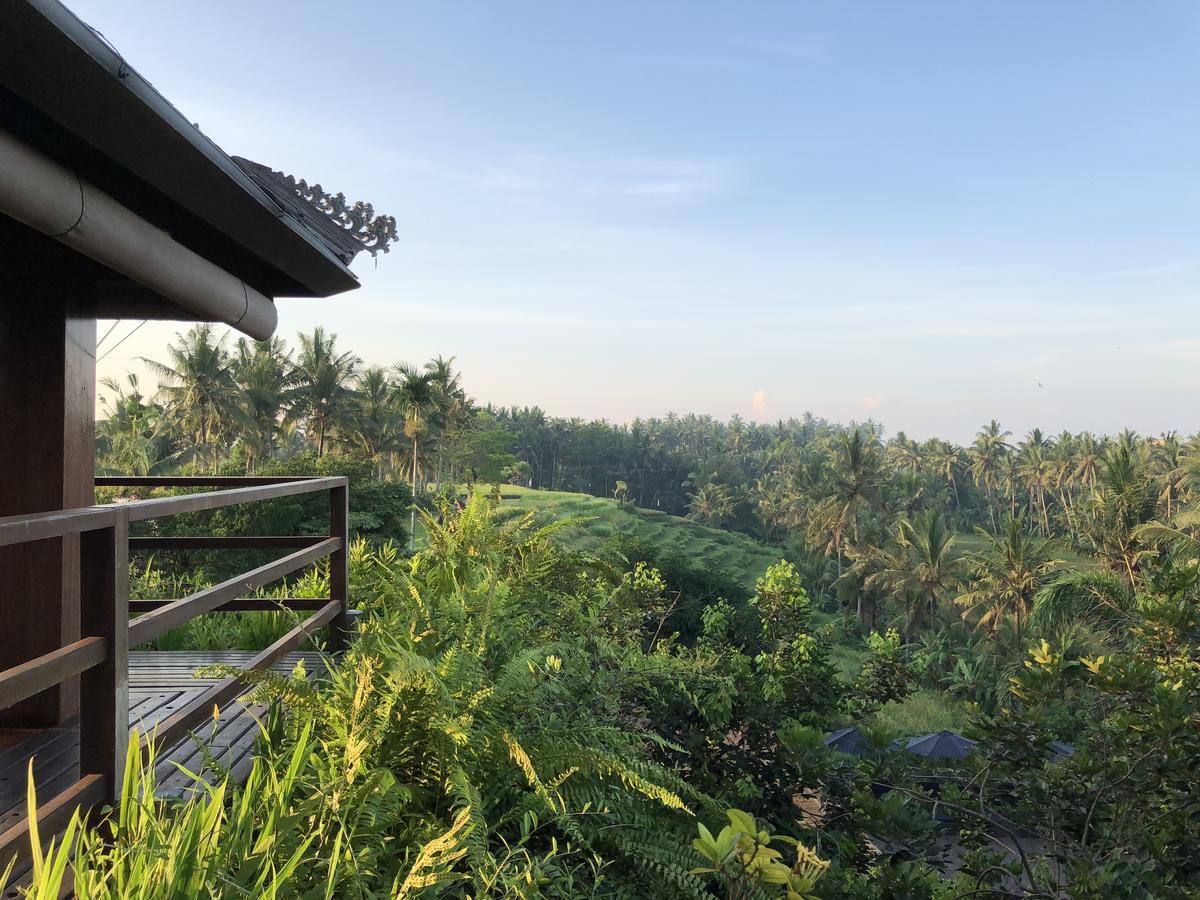 Soulshine Resort And Retreat Ubud  Exterior photo